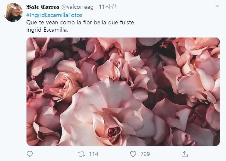 피살 여성의 이름과 함께 꽃 사진 올린 트위터 이용자 