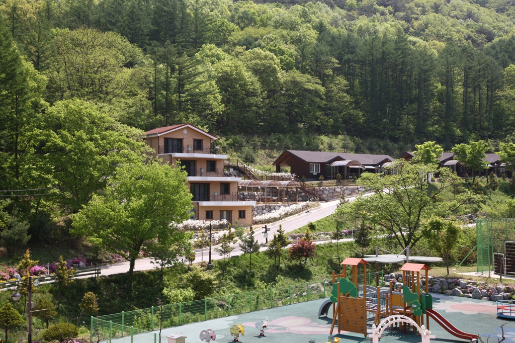 충북 알프스 자연휴양림 전경