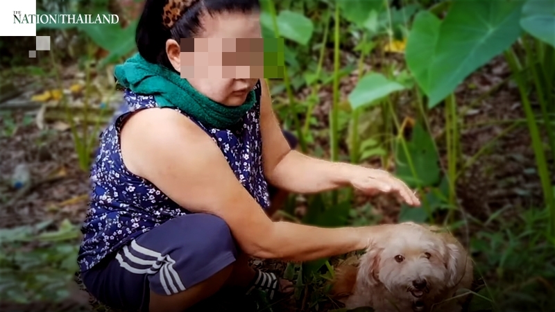 태국에서 수로에 빠진 주인 시신을 찾아낸 반려견