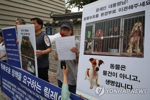 '동물은 물건이 아니고 생명입니다'