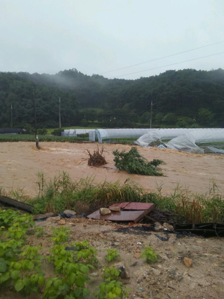 영덕리 농경지