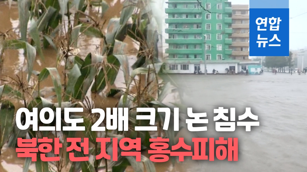 [영상] 홍수 피해는 북한 전역도 마찬가지…'여의도 2배 크기' 논 침수 - 2