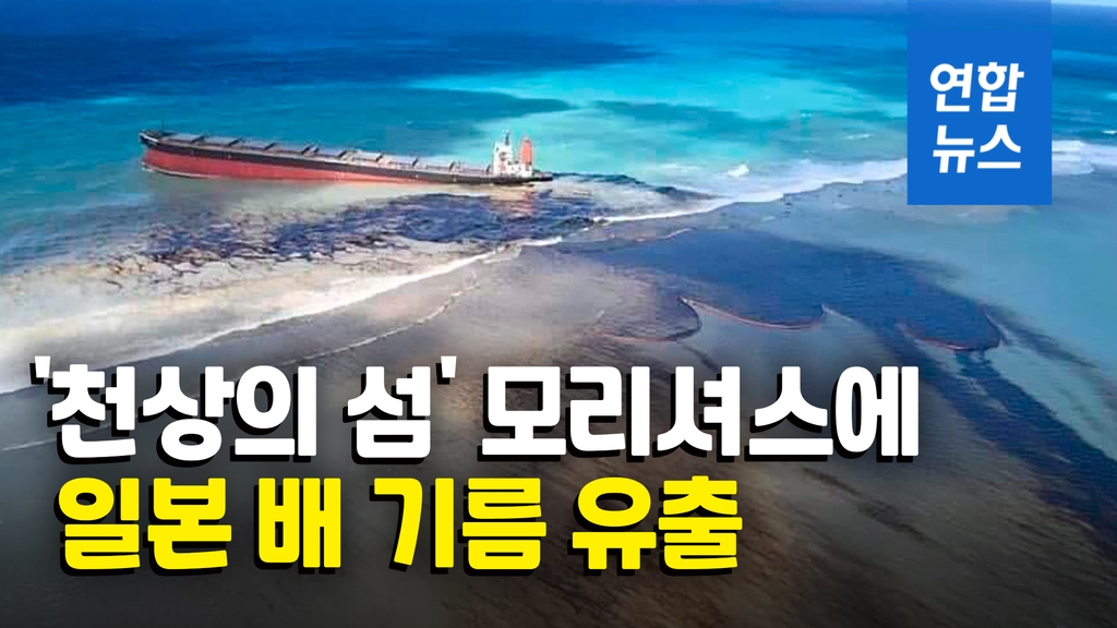 [영상] 일본 선박, 모리셔스 해변에 1천t 이상 기름 유출 - 2