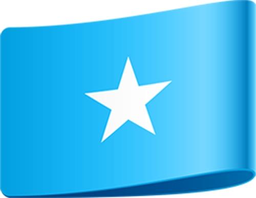 소말리아 국기
