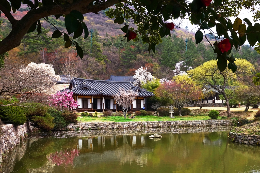 진도 운림산방