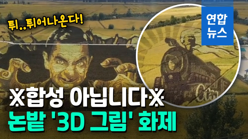 [영상] '논밭이 미술관'…중국 선양 논밭에 그려진 3D 그림 화제 - 2
