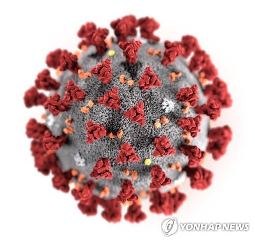 신종 코로나바이러스 3D 이미지