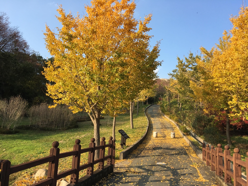 진해 드림로드