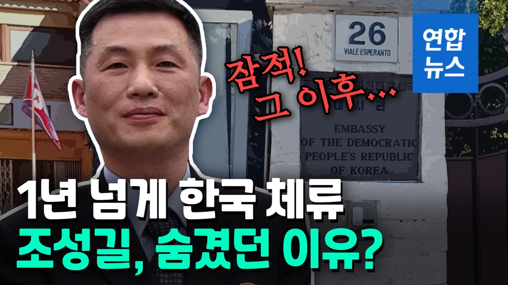 [영상] "잠적 북한 조성길, 1년 넘게 한국 체류…부인과 함께 입국" - 2