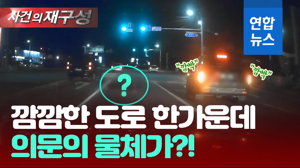 [영상] 깜깜한 도로 위 뭐지?…초록불에 비상등 켠채 줄지어 멈춘 차들 - 2