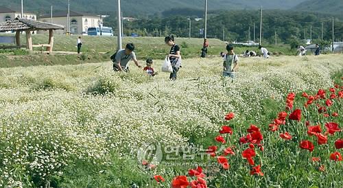 지리산허브밸리에서의 허브꽃 따기 체험