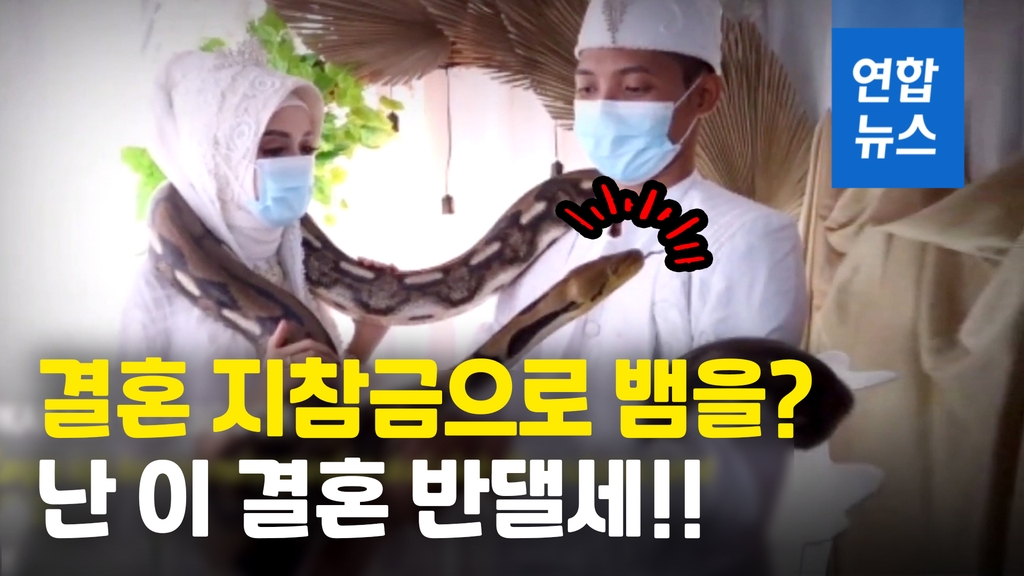 [영상] 파충류 동호회서 만난 커플, 뱀 주고받은 오싹한 결혼식 - 2