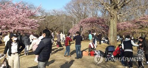 (도쿄=연합뉴스) 지난 23일 오후 도쿄 요요기(代代木)공원에서 상춘객들이 꽃망울을 터뜨린 벚나무 주변에 몰려 있다. 