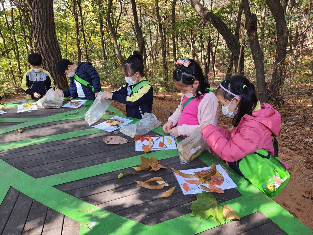 유아숲체험 모습