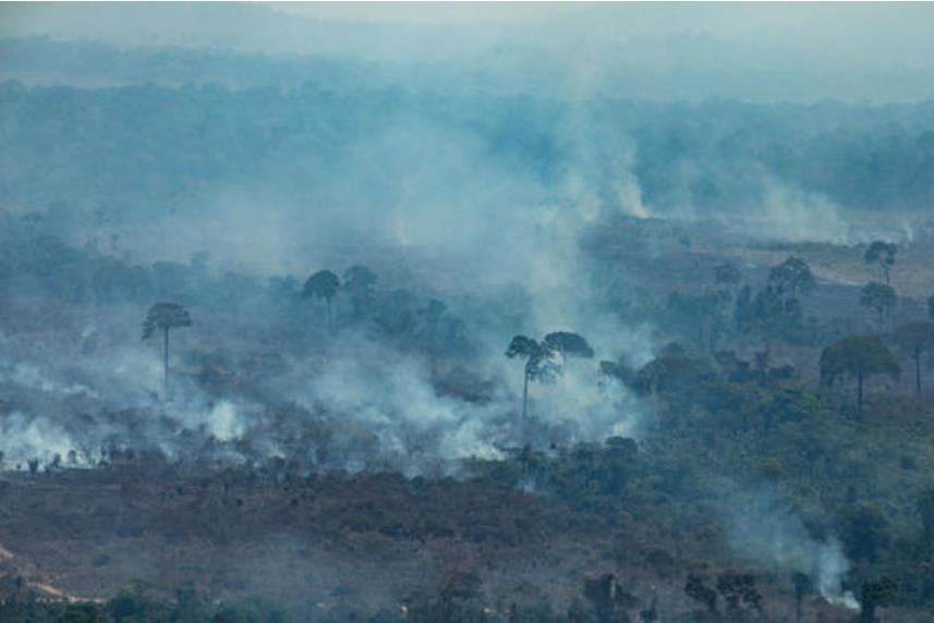 아마존 열대우림 화재