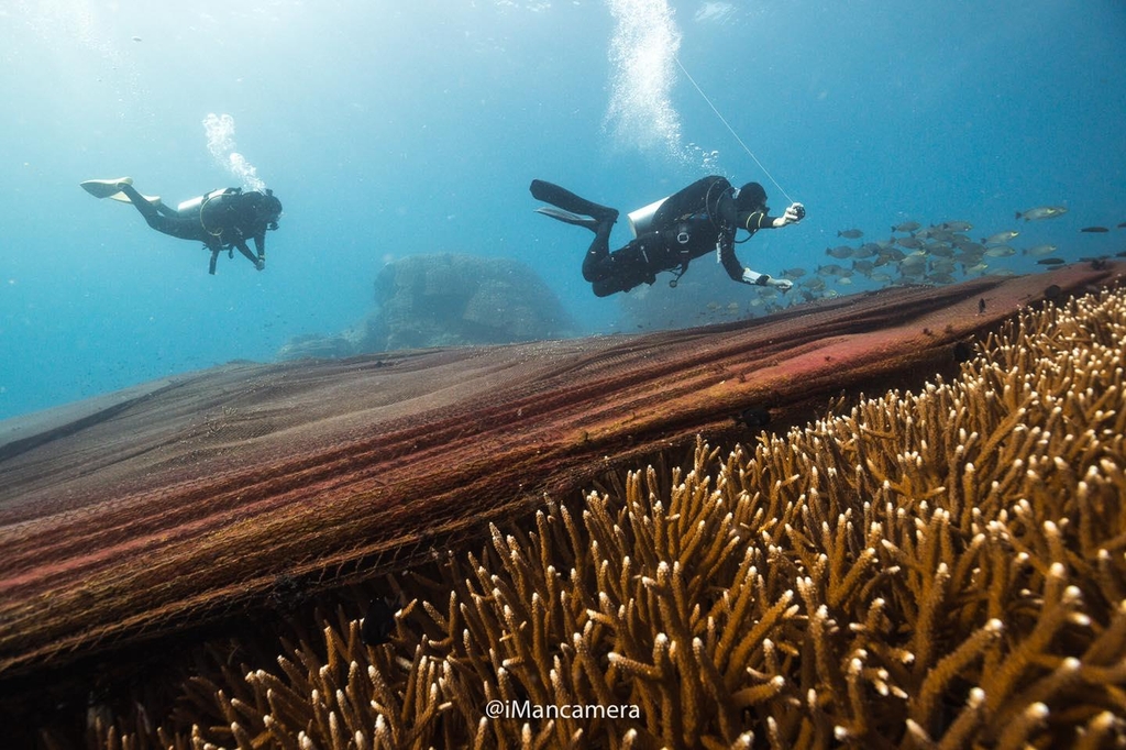 흉칙한 모습으로 산호초를 뒤덮고 있는 버려진 어망