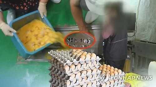 제조일자 조작한 계란 판매 무더기 적발(CG)