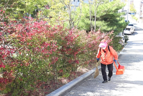노인 일자리 사업에 참여하는 고순남 할머니
