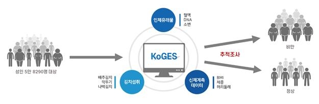 역학조사 개념도