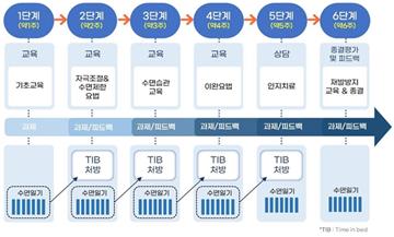 솜즈 CBT-I 치료절차 모식도