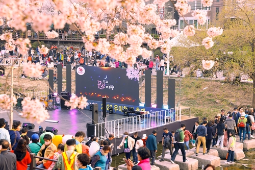 돌아온 벚꽃 시즌…27∼31일 '도봉 벚꽃축제'