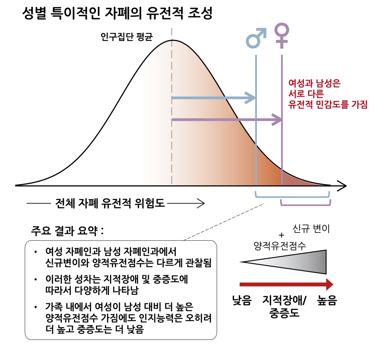 자폐의 유전적 조성의 성별 차이 