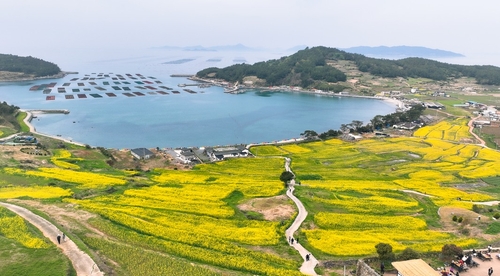 완도 청산도걷기 축제 내달 5일부터 한달간 열려