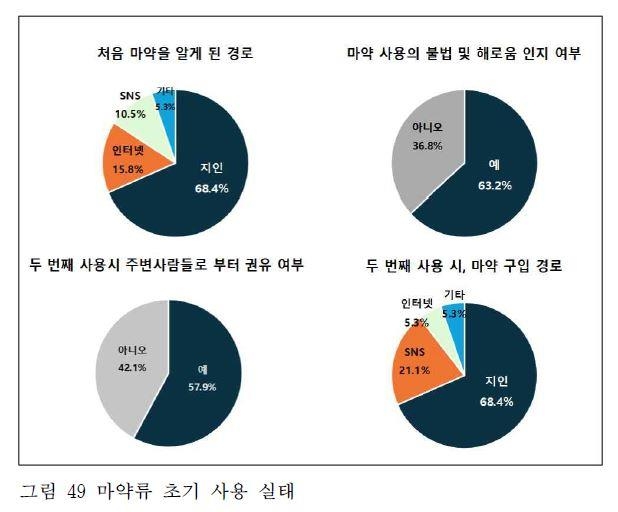 마약류 초기 사용 실태