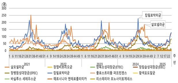 최근 5년간 표본감시 대상 세균성 장관감염증 발생 추이