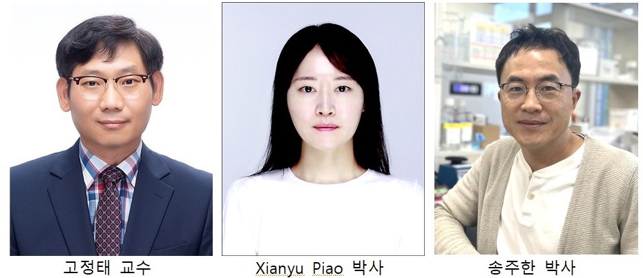 전남대 치의학전문대학원 연구팀