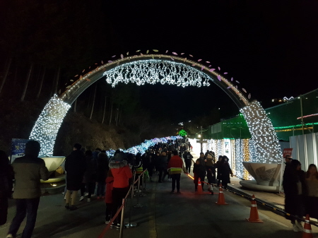 보성차밭 빛 축제, 겨울철 전국 대표축제로 급부상 - 1