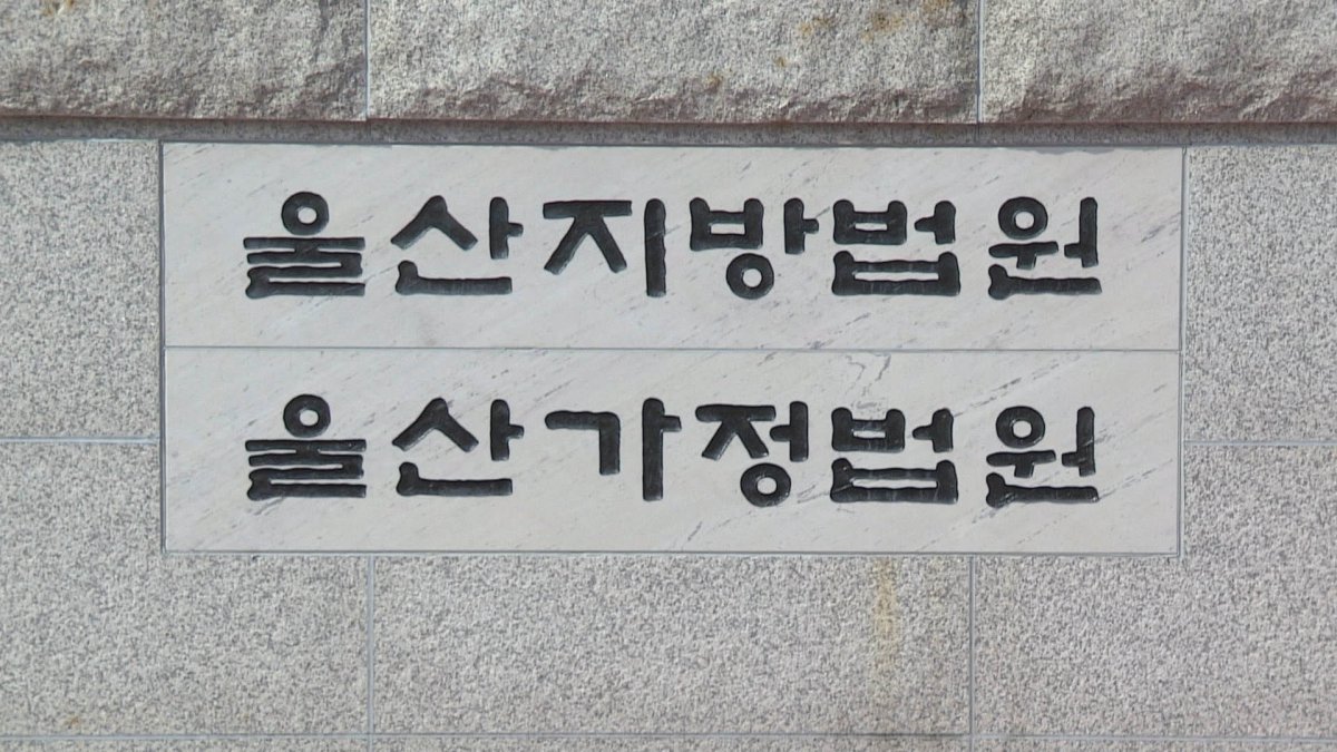 남편 닮은 대역 내세워 11억원 대출…아내 등 6명 실형