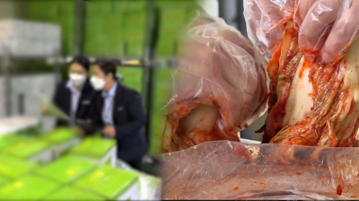 '알몸김치 논란'에 검사했더니…식중독균 제품 무더기