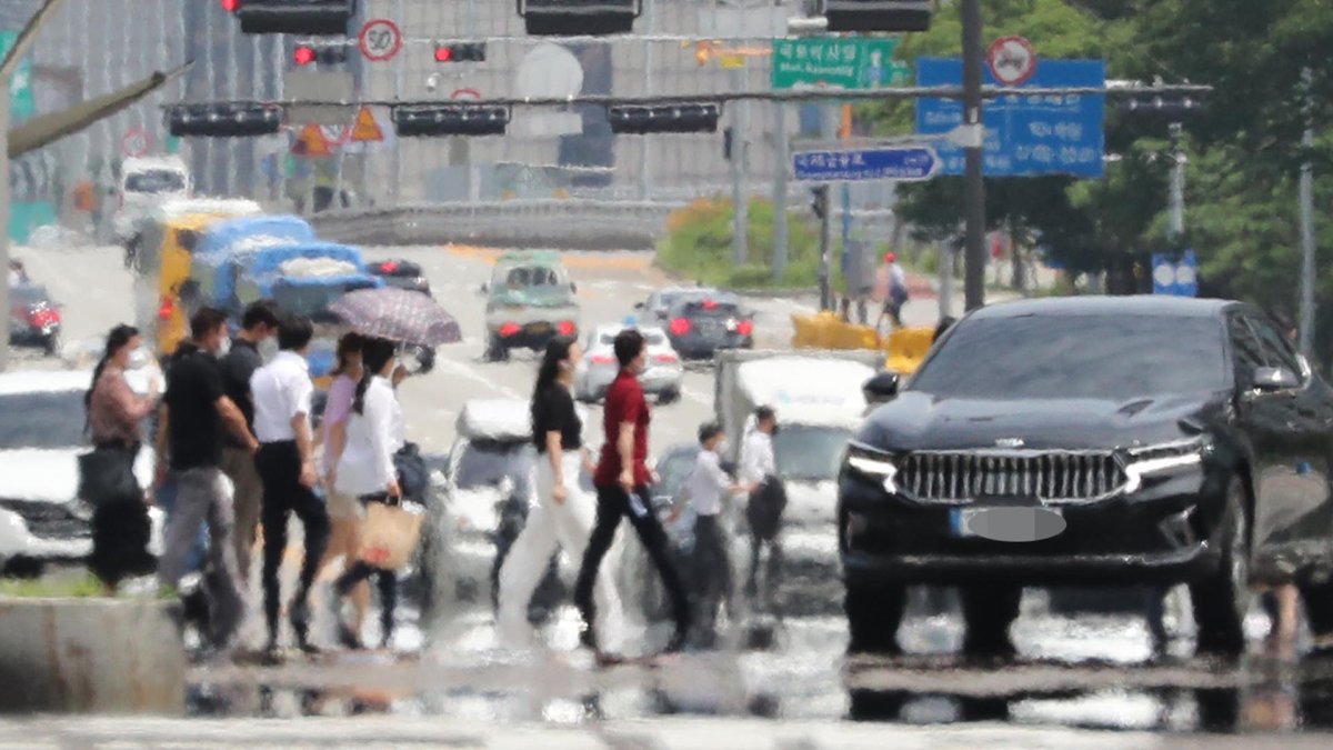 사람도 동물도 '헉헉'…주말까지 38도 극한 폭염