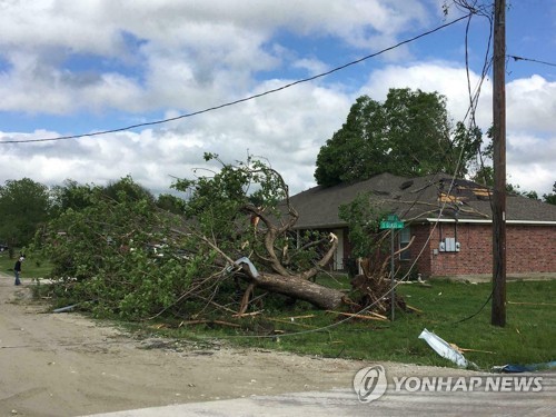 미 텍사스주 프랭클린 토네이도에 뿌리째 뽑힌 나무