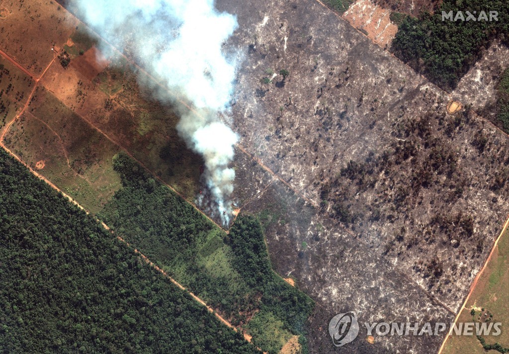 Brazil Amazon Fires