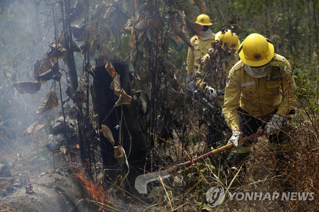 Brazil Amazon Fires