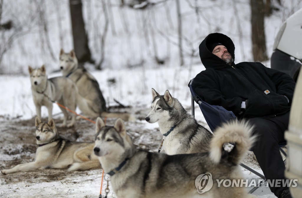 Czech Republic Dog Sled Race