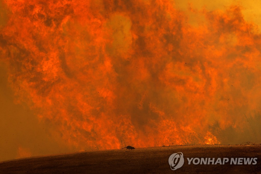 미 캘리포니아 남부 산불