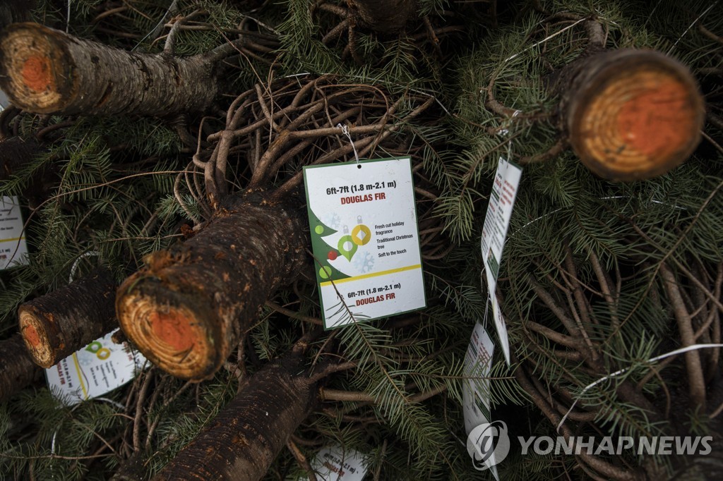 VIRUS OUTBREAK-CHRISTMAS TREES