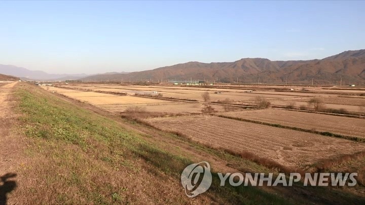 들녘