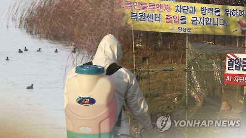 AI 검출(CG)