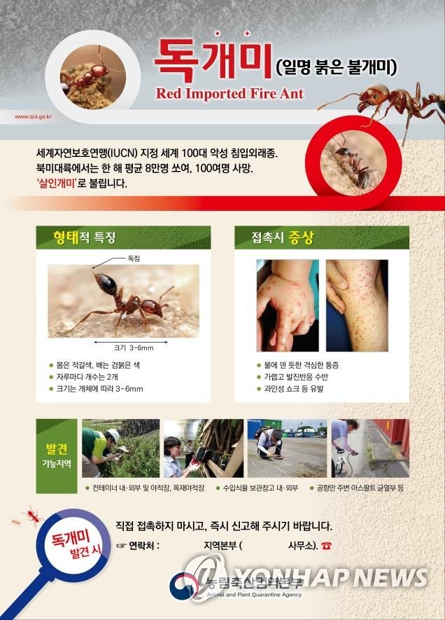 독개미 경고 포스터