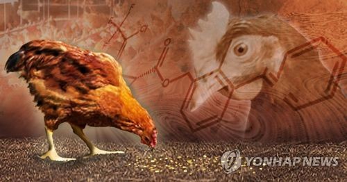 닭에서도 DDT 검출(PG)