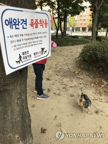 반려견 목줄