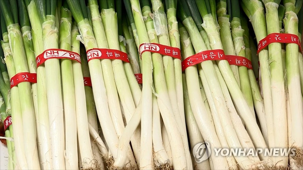 대파