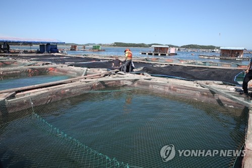 천수만 가두리 양식장