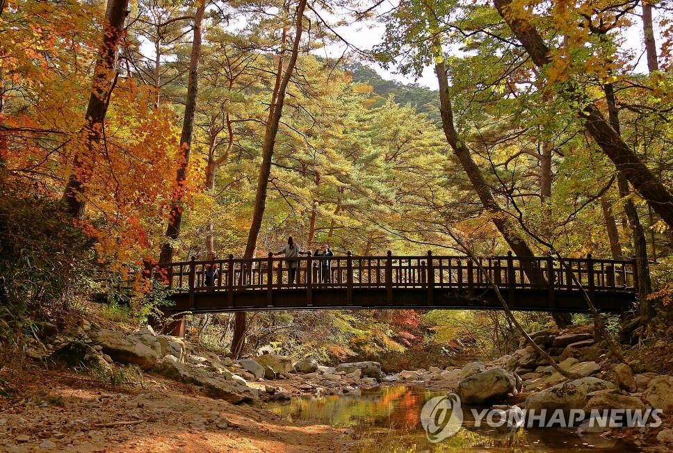 세조길 단풍