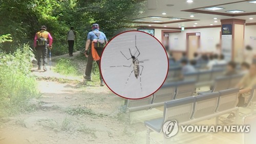 "외출 때 긴 옷을"…일본뇌염•뎅기열 모기 주의 (CG)