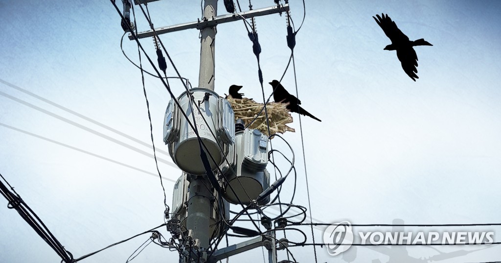전봇대, 새 둥지 (PG)